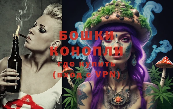 спиды Дмитриев