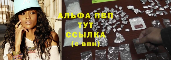 эйфоретик Дмитров