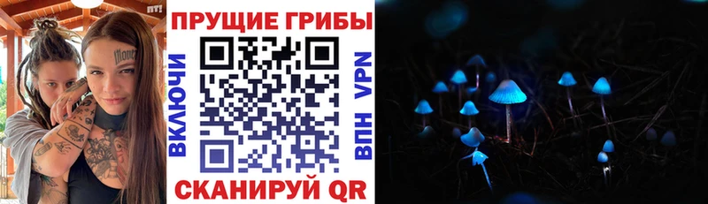Купить Инза Псилоцибиновые грибы Cubensis