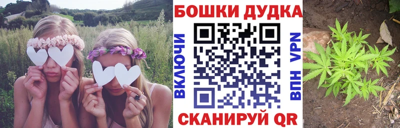 Бошки Шишки индика Инза